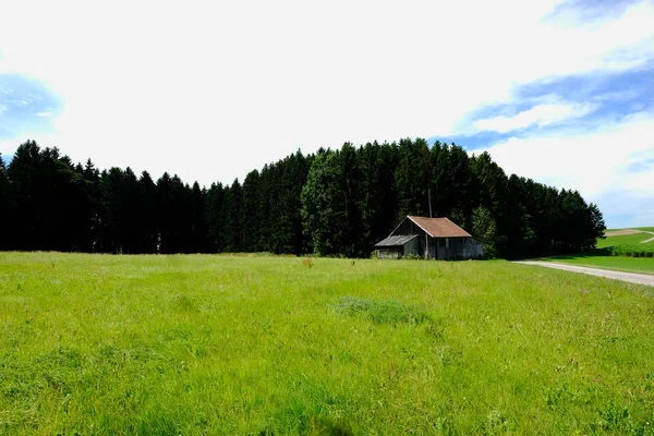 Łąka Świeży Krajobraz Zielona Trawa Pole Pagórki Błękitne Niebo Chmurami — Zdjęcie stockowe