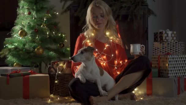 Щаслива дівчина з собакою в різдвяних прикрасах — стокове відео