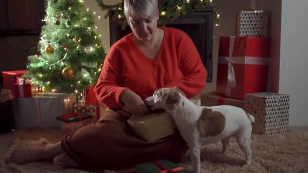 Kvinna med sin hund öppnar julklappar. — Stockvideo