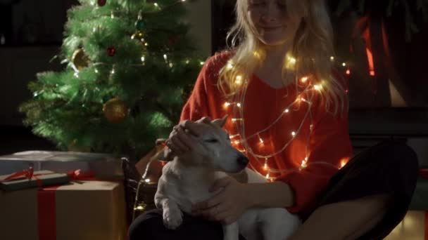 Šťastná dívka se psem v vánoční ozdoby. 
