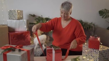 Kadınlar, hayvanlar ve kış tatili konsepti. Hediye kutusunu hazırlayın, yavru köpekle birlikte poz verin. Noel kutlaması. 