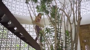 Spor kıyafetli genç bir kadın evde yoga minderi tutuyor.. 