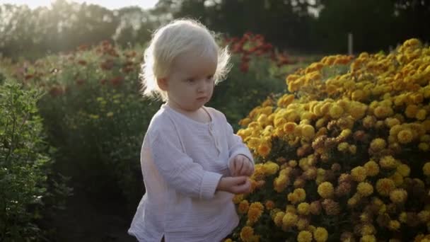Fille heureuse sur la prairie avec des fleurs. — Video
