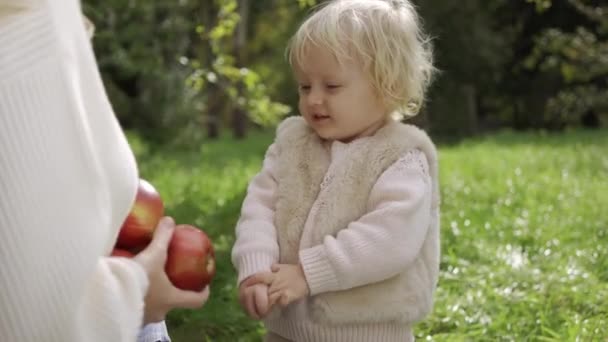 Mama i córka zbierają jabłka. — Wideo stockowe