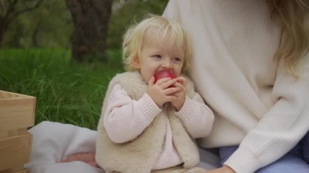Мама и дочь собирают яблоки и отдыхают на траве. Ребенок с молодой матерью ест яблоко в осеннем парке. — стоковое видео