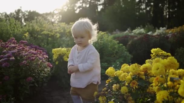 Gelukkig meisje op de weide met bloemen. — Stockvideo