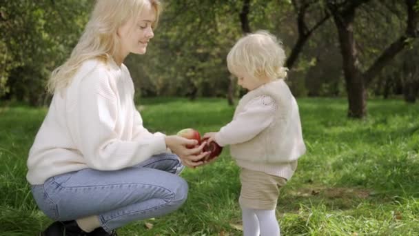 Mamá e hija cosechan manzanas. — Vídeo de stock