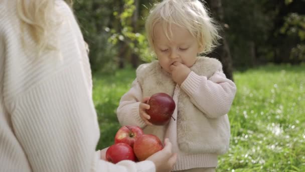 Maman et fille récoltent des pommes. — Video