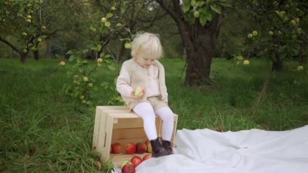 Ребёнок собирает яблоки на ферме осенью. Маленькая девочка играет на яблоне. Дети собирают фрукты в корзине. — стоковое видео