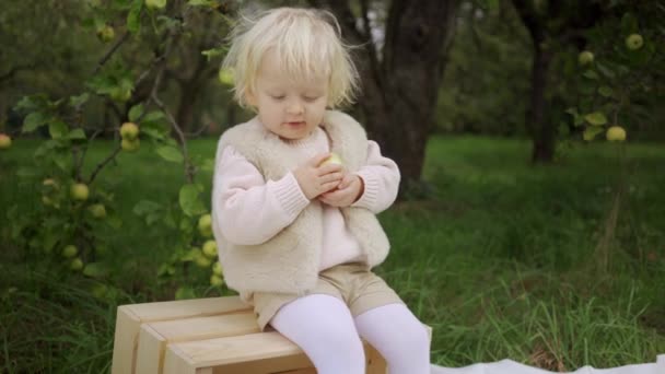 Bambino che raccoglie mele in una fattoria in autunno. Bambina che gioca nel melo. I bambini raccolgono la frutta in un cesto. — Video Stock
