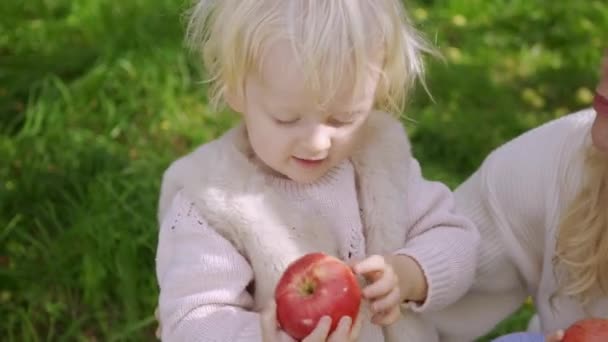 Maman et fille récoltent des pommes. — Video