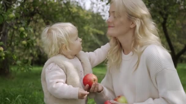 Mama i córka zbierają jabłka. — Wideo stockowe