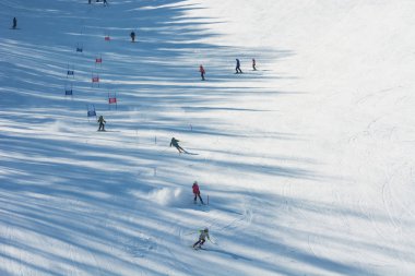 Altay'da kayakçılar yokuş aşağı iniyor, 08 Mart 2016, Gorno-Altaysk.