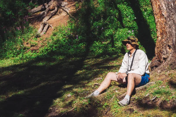 Traveler Resting Meadow Conifer Tree Hike Man Relax Coniferous Forest — Stock Photo, Image