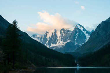Sabahın erken saatlerinde dağ gölü nün yanındaki hayalet orman. Buzuldan gelen dağ deresi göle akar. Su kenarında karaçam. Buzulun üstünde alçak bulut. Koyu atmosferik ahşap manzara. Sakin atmosfer.
