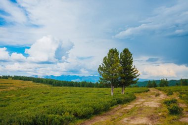 Dağ manzarasının muhteşem manzarası. Yaylada patika ve iğne yapraklı ağaçlarla muhteşem bir manzara. Bulutlu gökyüzünün altında uzak dev kayalık dağlar. Harika doğal yeşil dağ manzarası. İki sedir