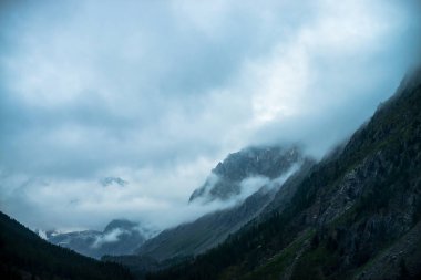 Kalın sis içinde ağaçlar ile hayalet dev kayalar. Sisin içinde gizemli büyük dağ. Sabah ın erken saatlerinde dağlarda. Aşılmaz sis. Karanlık atmosferik bulutlu manzara. Sakin mistik atmosfer. Karanlık orman.