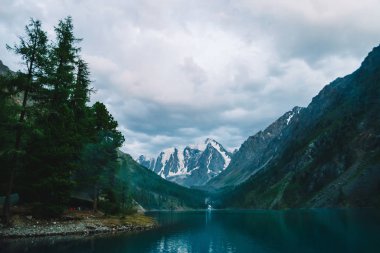 Dev buzulun manzaralı harika dağ gölü. Kozalaklı ormanları olan devasa dağlar. Su kenarında bir karaçam ağacı. Dağların görkemli doğasının sabah manzarası. Bulutlu dağ manzarası.