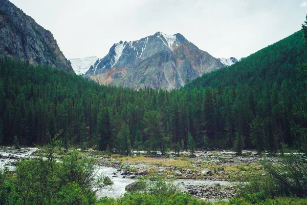 Горный Ручей Долине Против Гигантских Гор Снежных Вершин Водный Поток — стоковое фото