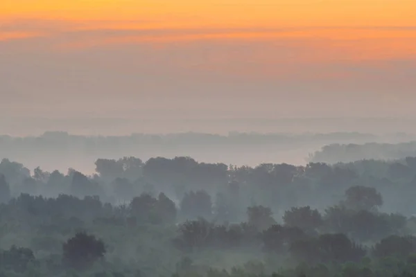 Mystical view from top on forest under haze at early morning. Mist among layers from tree silhouettes in taiga under predawn sky. Calm morning atmospheric minimalistic landscape of majestic nature.