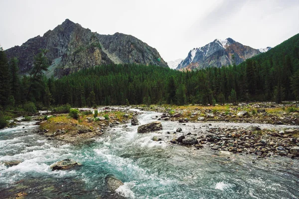 Maravilloso Arroyo Agua Rápida Desde Glaciar Arroyo Salvaje Montaña Con — Foto de Stock