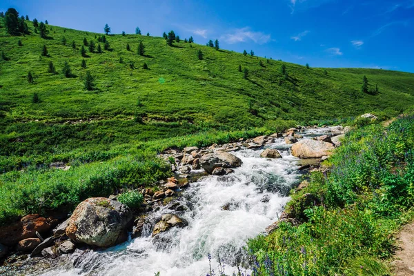 Vadide Parlak Güneş Işığı Altında Kayalar Arasında Dağ Deresi Hızlı — Stok fotoğraf