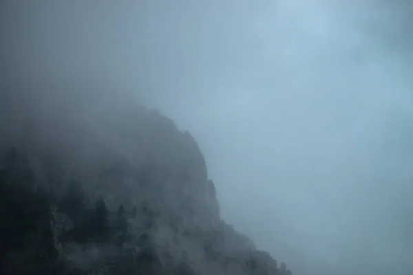 Ghostly Giant Rocks Trees Thick Fog Mysterious Huge Mountain Mist — Stock Photo, Image