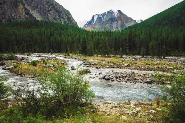 Wunderschönes Schnelles Wasser Vom Gletscher Wildem Gebirgsbach Mit Steinen Atemberaubende — Stockfoto