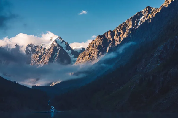 Ghostly Forest Mountain Lake Early Morning Mountain Creek Glacier Flows — Stock Photo, Image