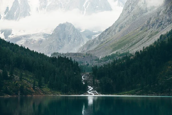 Ghostly Forest Mountain Lake Early Morning Mountain Creek Glacier Flows — Stock Photo, Image