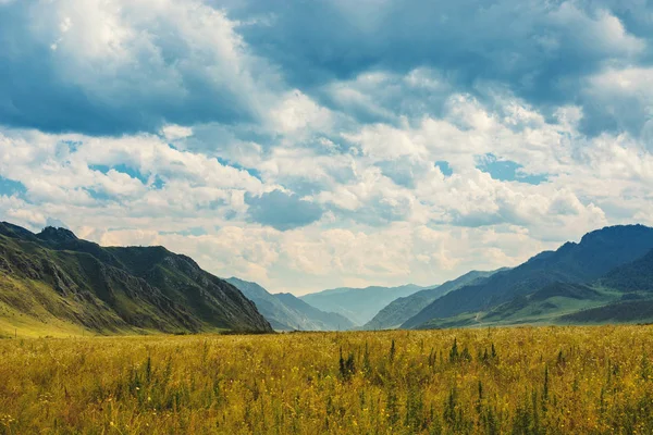 Prairie among the mountains. The valley is far away in the blue mountains. Natural Landscapes.