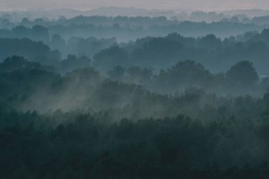 Mystical view from top on forest under haze at early morning. Mist among layers from tree silhouettes in taiga under warm predawn sky. Morning atmospheric minimalistic landscape of majestic nature. clipart