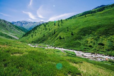 Güneşli bir günde yayla zengin bitki örtüsü arasında yeşil vadide Dağ deresi. Mavi berrak gökyüzü altında buzulhızlı su akışı. Tepenin arkasında dev karlı dağlar. Görkemli doğanın canlı manzarası.