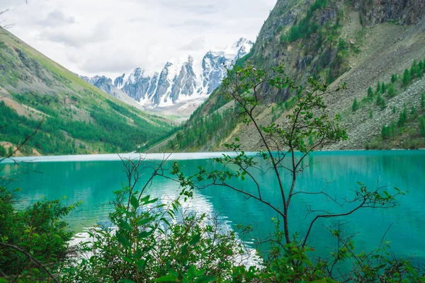 Ricca Vegetazione Altopiani Contro Lago Montagna Meravigliose Montagne Innevate Giganti — Foto Stock