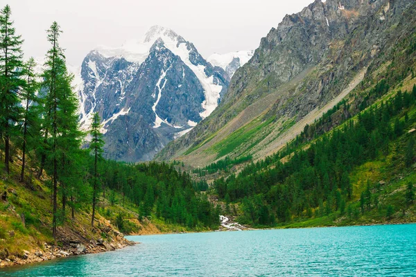 Fast Mountain Creek Glacier Flows Azure Mountain Lake Valley Amazing — Stock Photo, Image