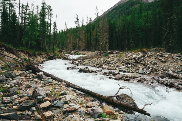 Wunderschönes Schnelles Wasser Vom Gletscher Wildem Gebirgsbach Mit Steinen Atemberaubende — Stockfoto