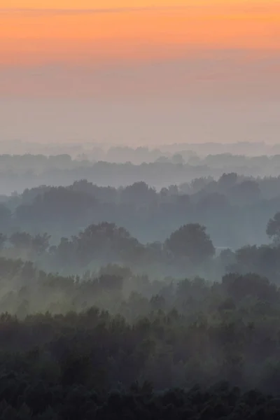 Містичний Вид Зверху Ліс Під Туманом Рано Вранці Помилка Серед — стокове фото