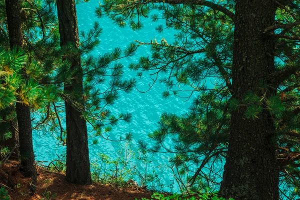 Shiny Texture Azure Surface Mountain Lake Conifer Trees Clear Water — Stock Photo, Image