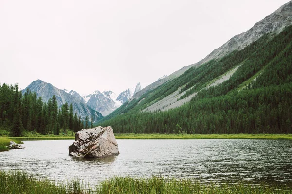 Большой Камень Маленьком Горном Озере Блестящей Поверхностью Среди Богатой Растительности — стоковое фото