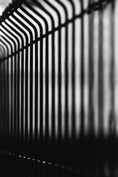 Metallic forged fence in black and white