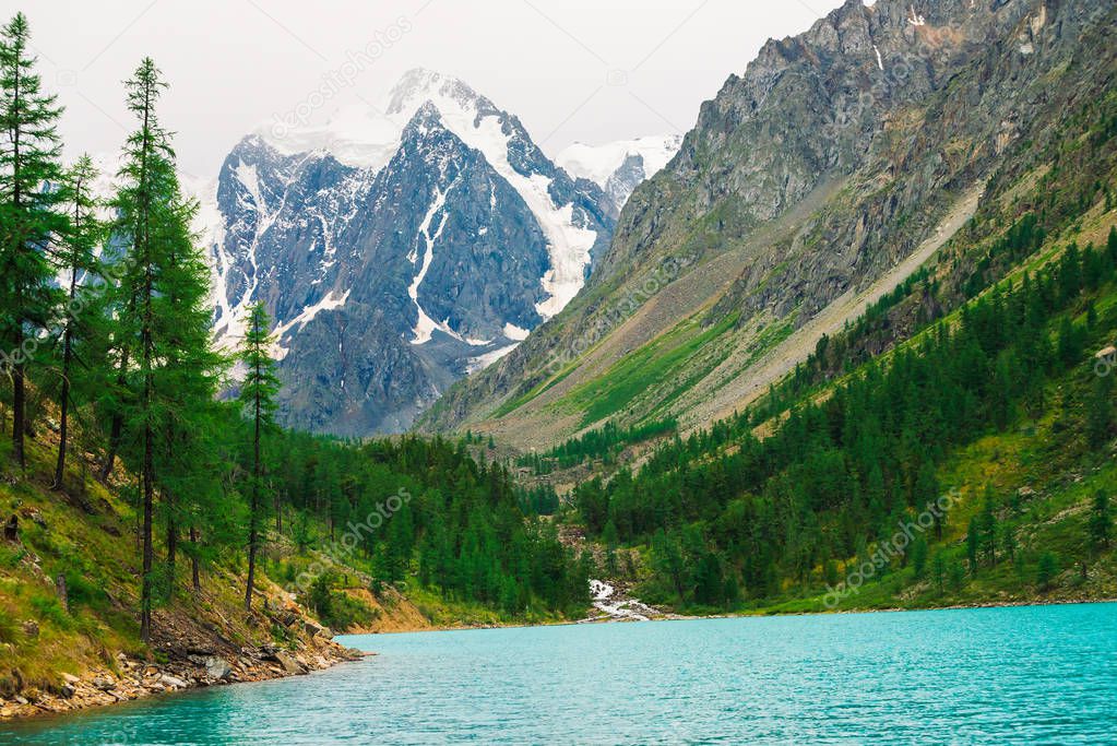 Fast mountain creek from glacier flows into azure mountain lake in valley. Amazing mountains with conifer forest. Larch trees on mountainside. Vivid green landscape of majestic nature of highlands.
