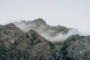 Kalın sis içinde ağaçlar ile hayalet dev kayalar. Sisin içinde gizemli büyük dağ. Sabah ın erken saatlerinde dağlarda. Aşılmaz sis. Karanlık atmosferik ürkütücü manzara. Vahşi doğa sakin mistik atmosfer.
