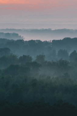 Sabahın erken saatlerinde sis altında ormanın tepesinden mistik bir manzara. Sıcak şafak öncesi gökyüzü altında taiga ağaç siluetleri katmanları arasında Sis. Görkemli doğanın sabah atmosferik minimalist manzara.