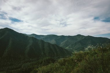 Çiçekler bulutlu gökyüzü altında orman ile dağların arka planda dağ yamacında çim çevreleyen. Mistik arazi üzerinde yukarıdan görünümü. Yeşil görkemli vahşi doğanın atmosferik sakin manzara.