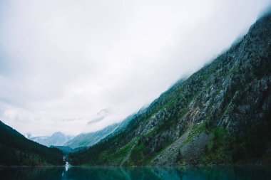 Sabahın erken saatlerinde dağ gölü nün yanındaki hayalet orman. Dağ deresi göle akar. Pürüzsüz su yüzeyinde dalgalanma. Alçak bulutlar. Karanlık sakin atmosferik sisli ormanlık manzara. Sakin atmosfer.