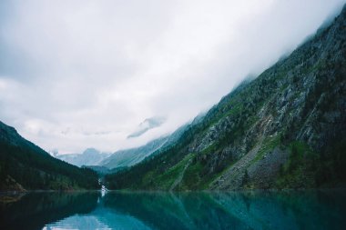 Sabahın erken saatlerinde dağ gölü nün yanındaki hayalet orman. Dağ deresi göle akar. Pürüzsüz su yüzeyinde dalgalanma. Alçak bulutlar. Karanlık sakin atmosferik sisli ormanlık manzara. Sakin atmosfer.