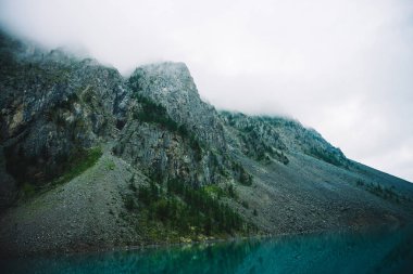 Kayalık dağ yamacının üzerinde dev bir bulut ve sisiçinde ağaçlar var. İnanılmaz dağ gölü. Bulutlu gökyüzünün altında dağ sırası. Sisin içinde harika kayalar. Yayla doğasının sabah manzarası. Dağlarda alçak bulutlar.