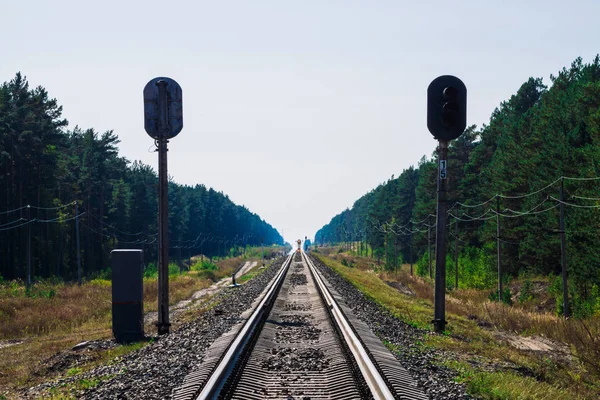 Mystic train travels by rail along forest. Railway traffic light and locomotive on railroad in distance. Mirage on railway track. Atmospheric landscape.