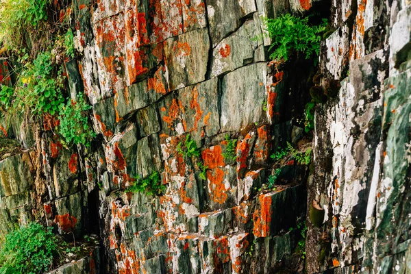 青苔橙色岩石分层的山体表面 高地植被丰富 悬崖上的植物 青苔和地衣 带复制空间的山腰细节纹理 带绿色纹理的岩石 — 图库照片