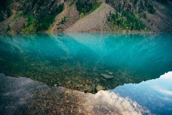 きれいな水クローズアップと山の湖の底に植物や石 滑らかな水面に反射する巨大な山脈 水中植生の背景 巨大な山の尾根の反射 — ストック写真